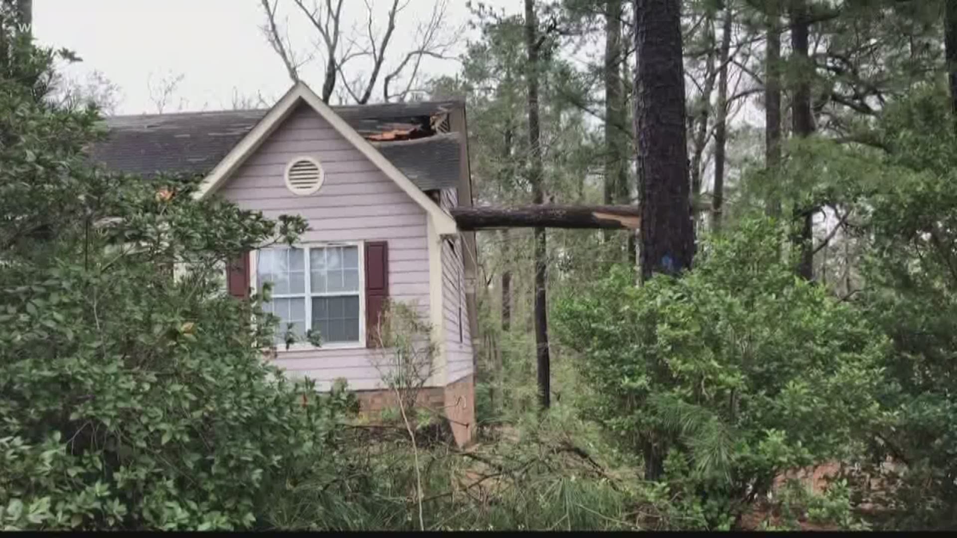 Tornadoes damage homes, cars near Greystone Boulevard in Columbia, SC