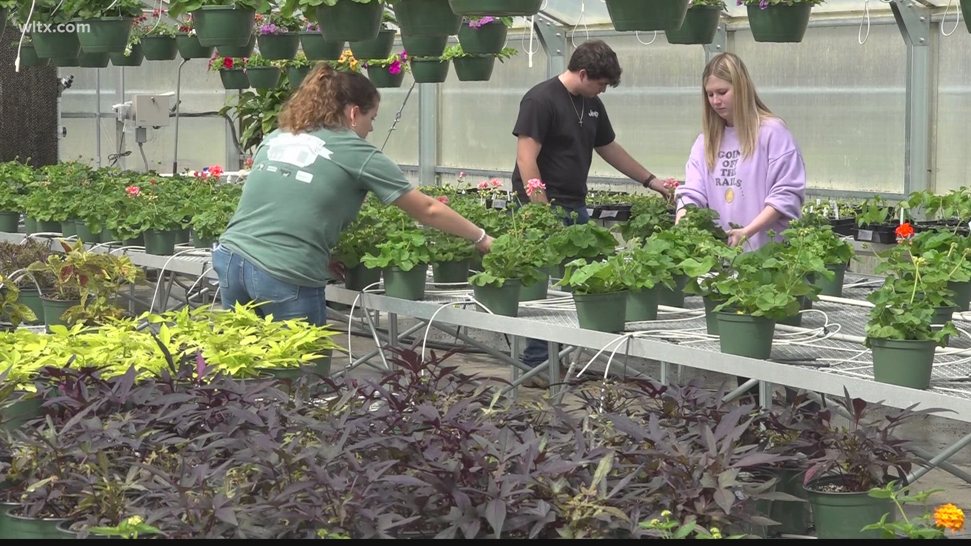 Students at the Center for Advanced Technical studies started their annual spring plant sale today and goes on all week--or as long as the plants last.