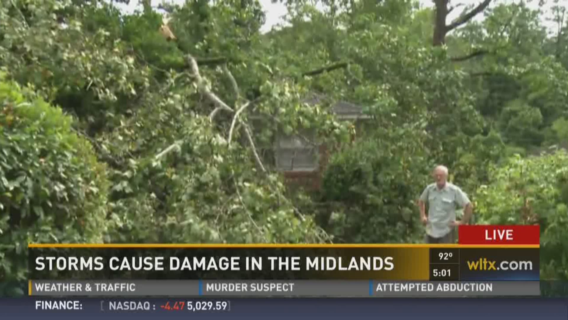 Tree Falls on House, Injuring Woman | wltx.com