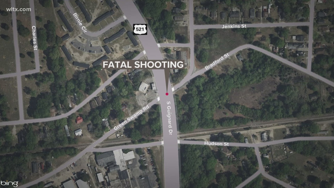 Sumter teen charged in fatal shooting | wltx.com