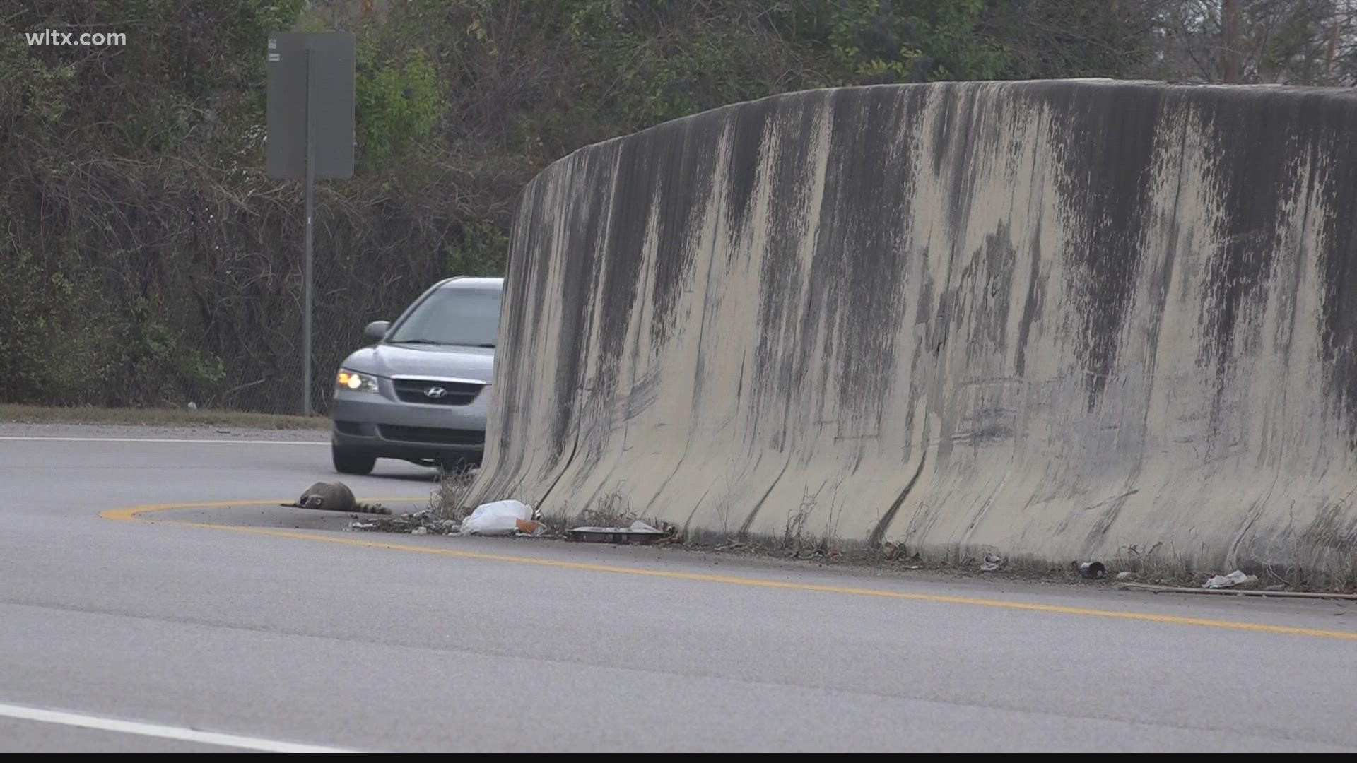 who-to-call-for-dead-deer-removal-along-public-roads-in-lexington