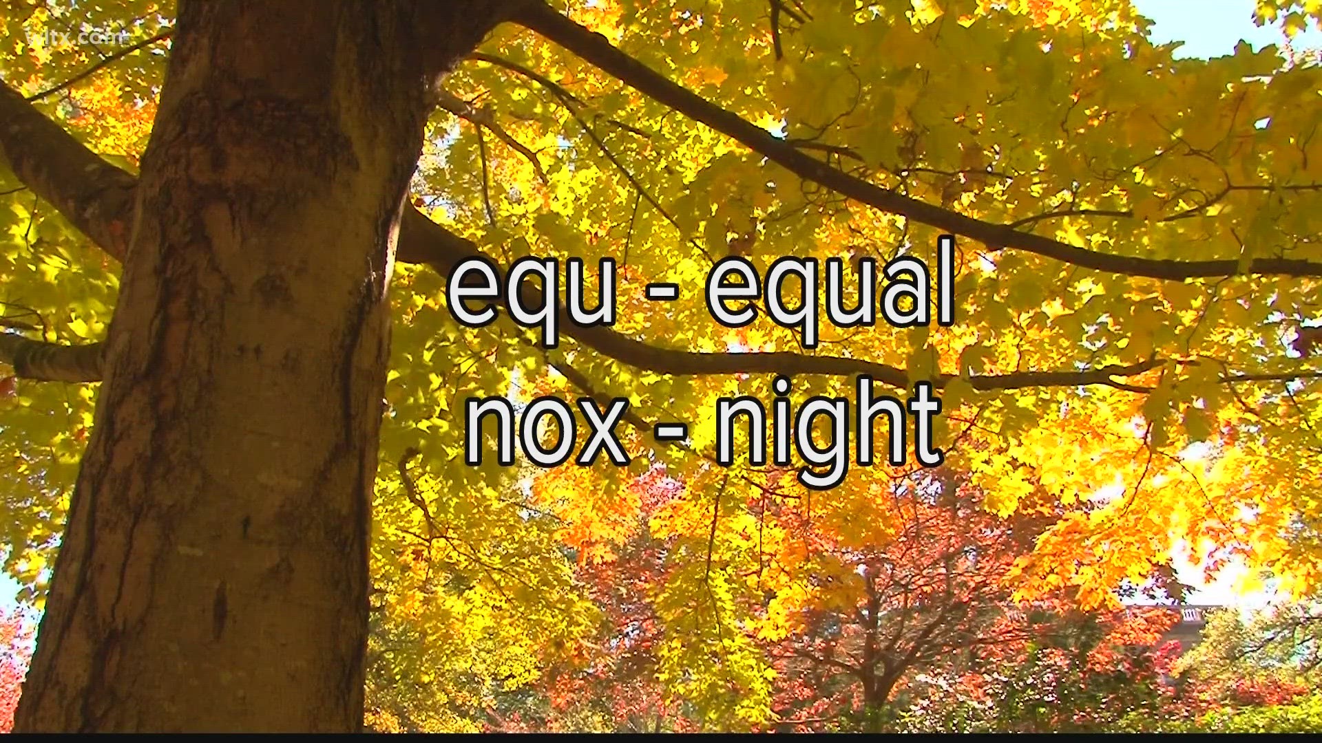 Fall is just a few days away from the fall equinox and WLTX meteorologist Cory Smith explains it all.