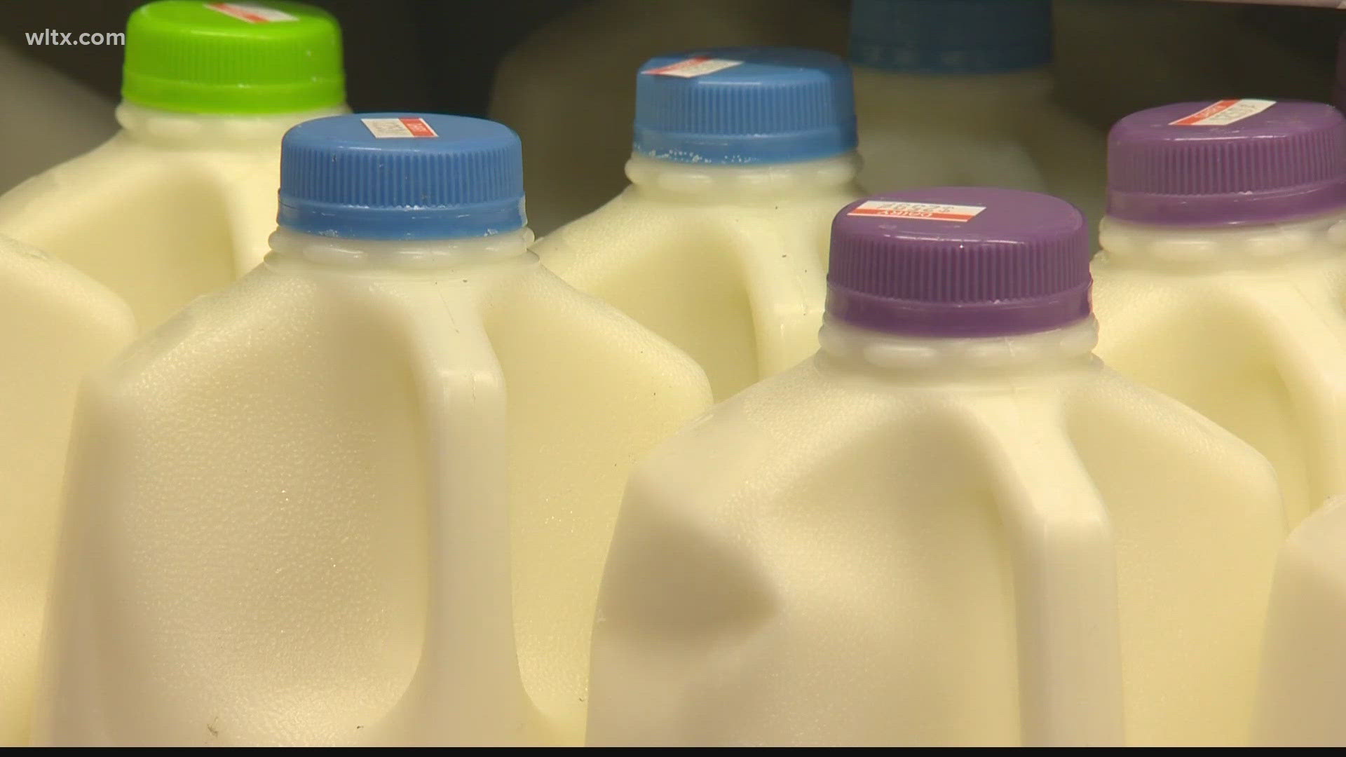 The FDA has found evidence of the bird flu virus in grocery store milk.