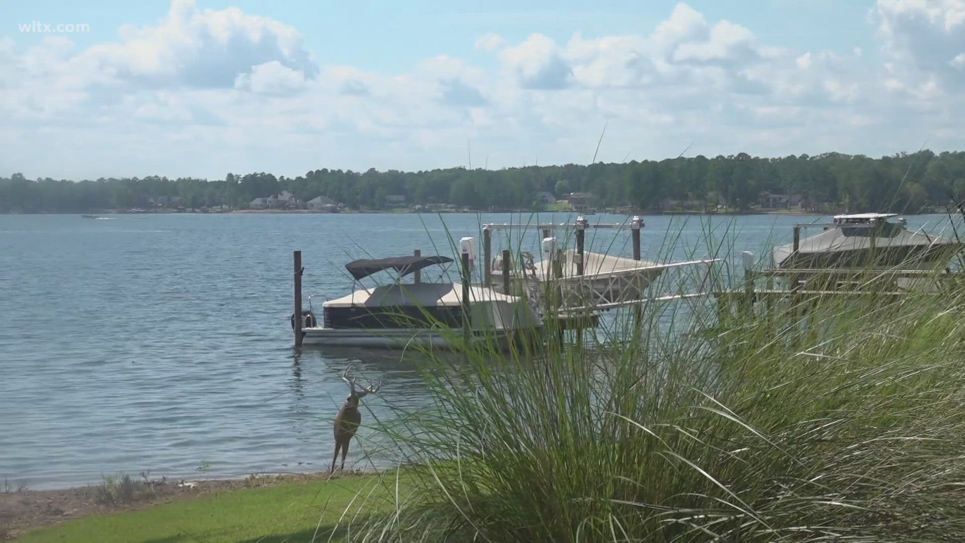 The $40M investment aims to address foul odors and earthy taste in Lake Murray's water.