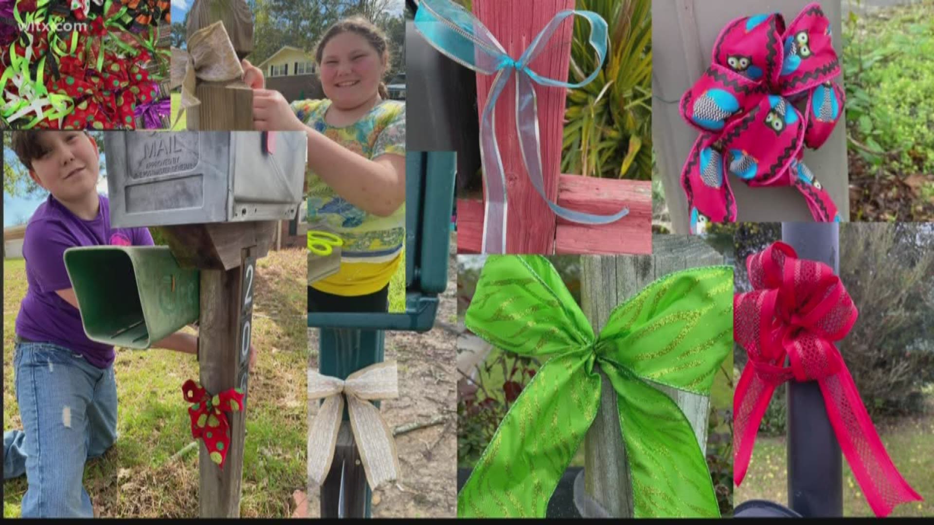 One Irmo woman trying to bring a smile to the neighborhood one bow at a time
