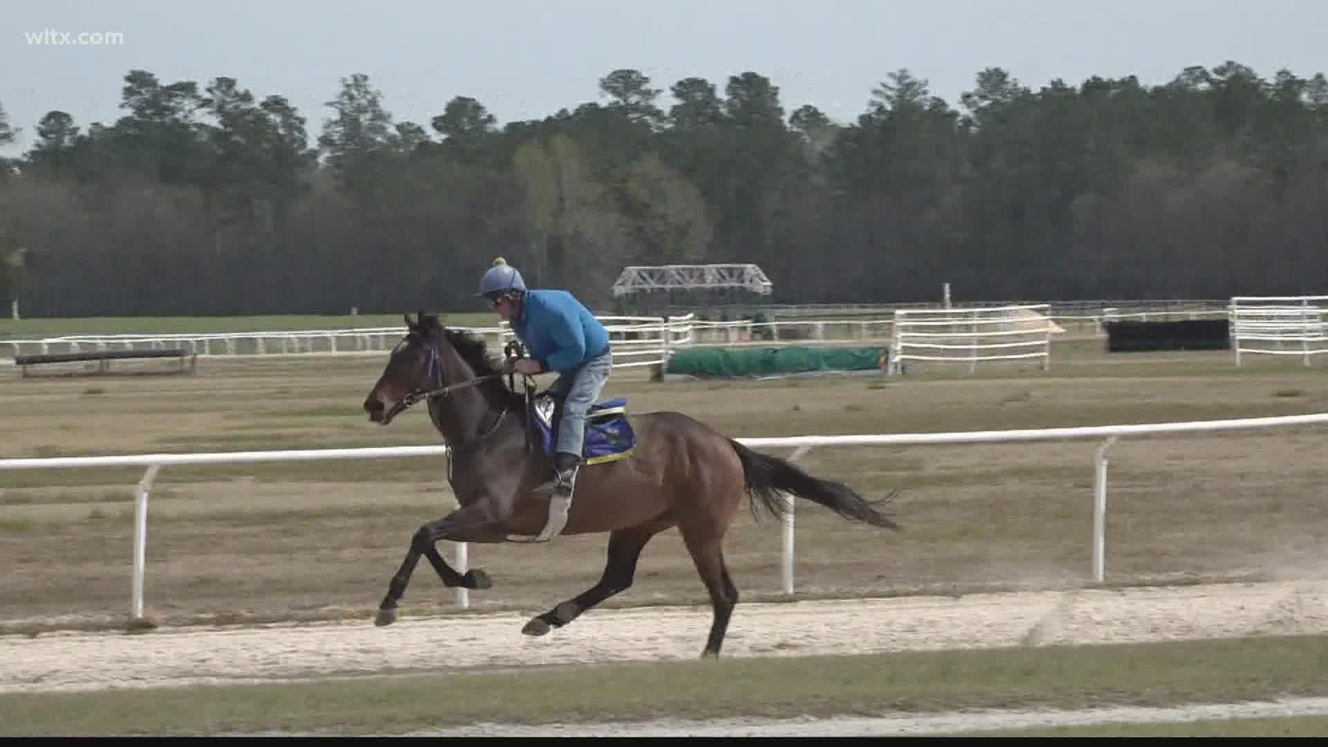 Bernie Dalton will be competing in the Carolina Cup on Saturday.