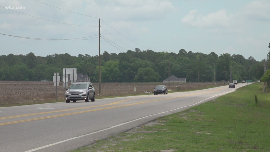 One killed swerving to miss a deer as SC sees a deadly run of crashes
