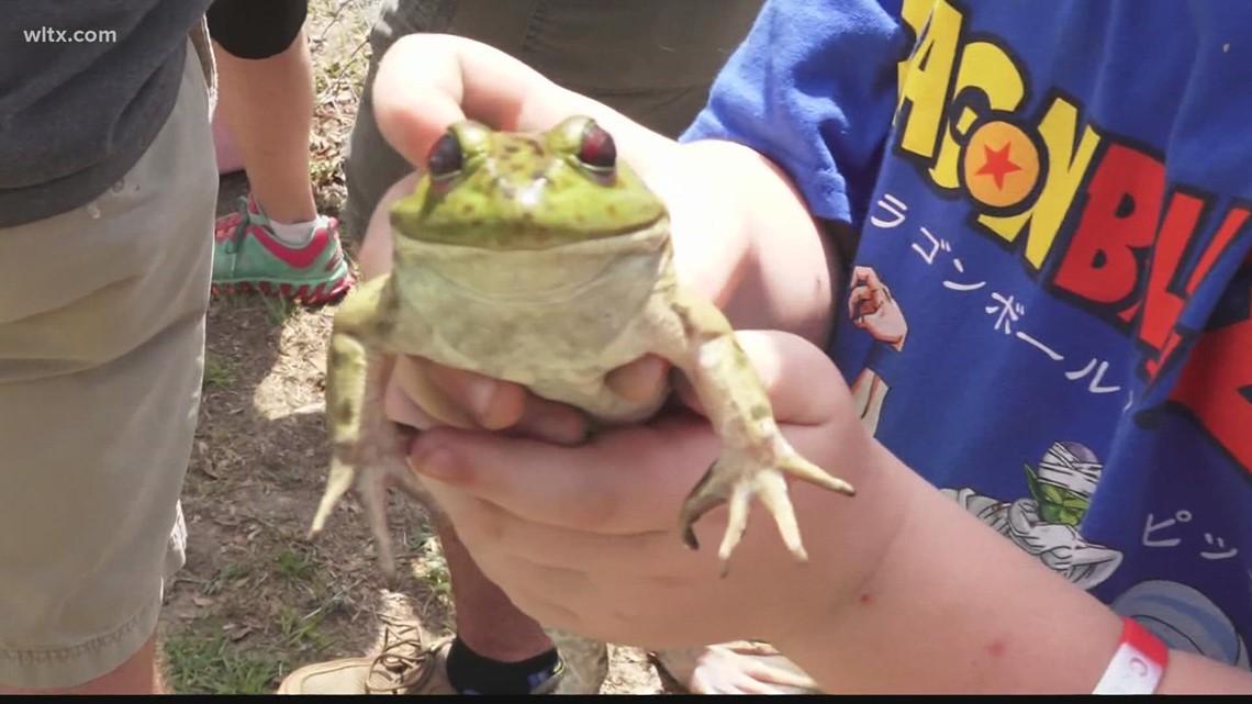 Governor's Frog Jump in Springfield is back