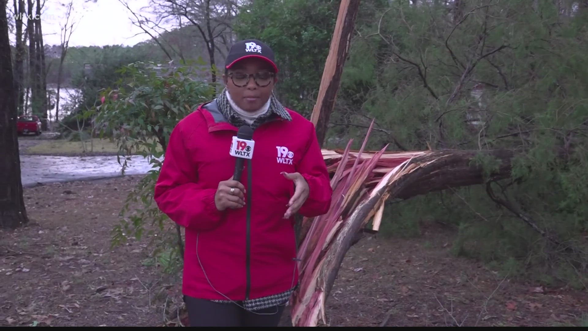 Storm damage in Chapin