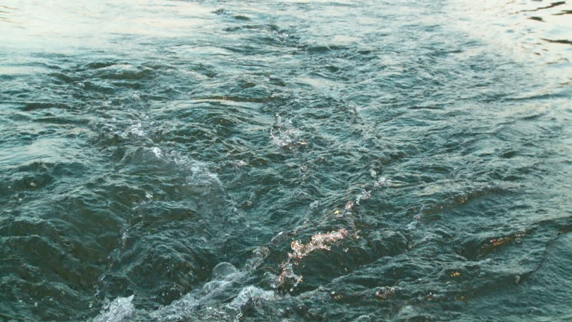 Suspected Aiken drowning leads to body recovery at Gem Lakes, SC