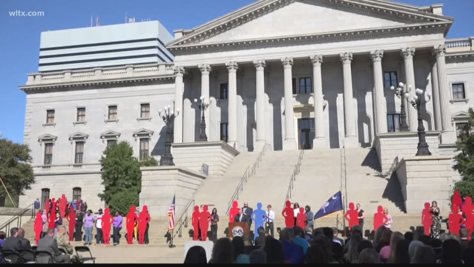 Tuesday's Silent Witness ceremony honored the 29 women and 11 men authorities say have been killed in domestic violence in 2017 with a life-sized silhouette.