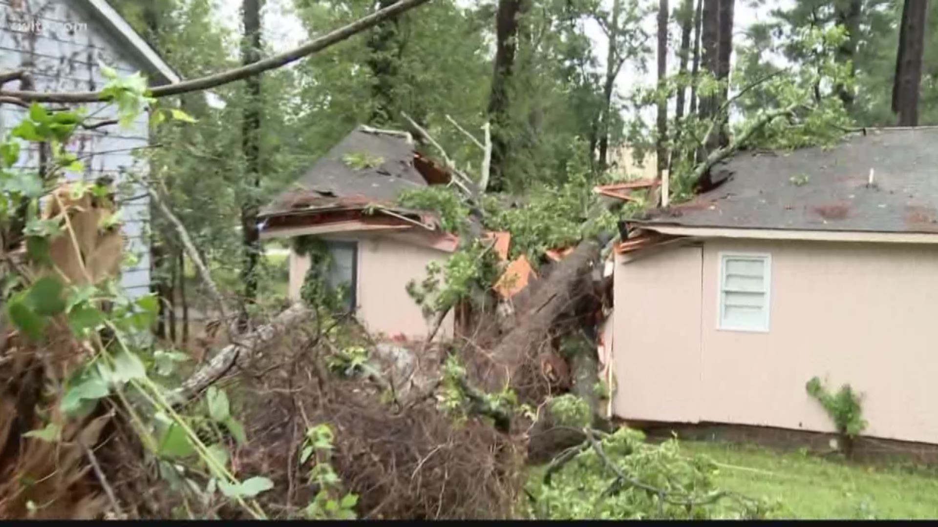 Tree falls on home in Columbia