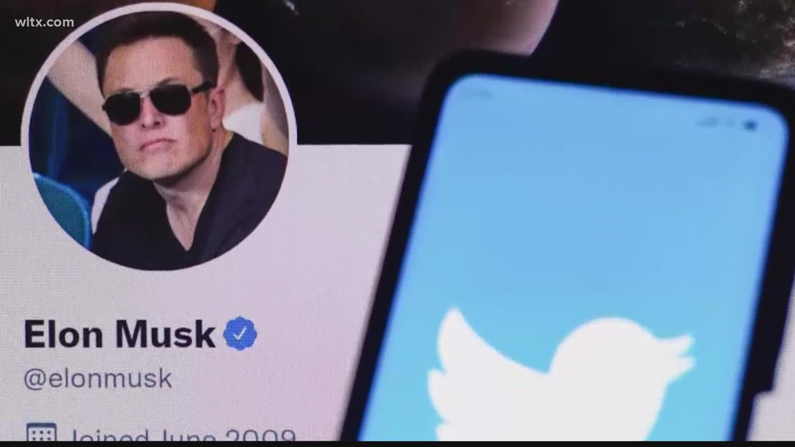 Elon Musk puts Twitter purchase on hold. Here's why.