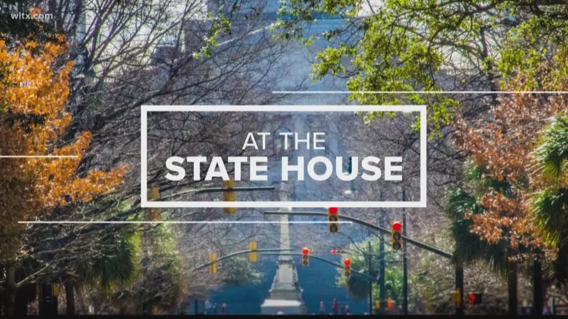 In the latest news at the South Carolina State House, lawmakers seem ready to give quick consideration to a bill that would hire experts to seek bids to buy Santee Cooper, and a bill that would ban drivers from holding their cellphone while behind the wheel will likely not pass this year.  Here is News19's State House news for March 25, 2019.
