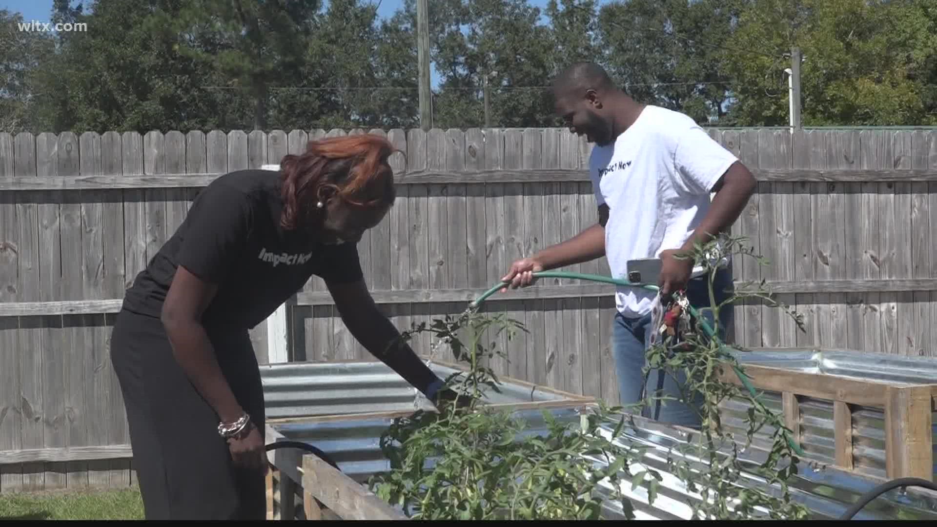 A few groups in Orangeburg have gotten together to produce a community garden.