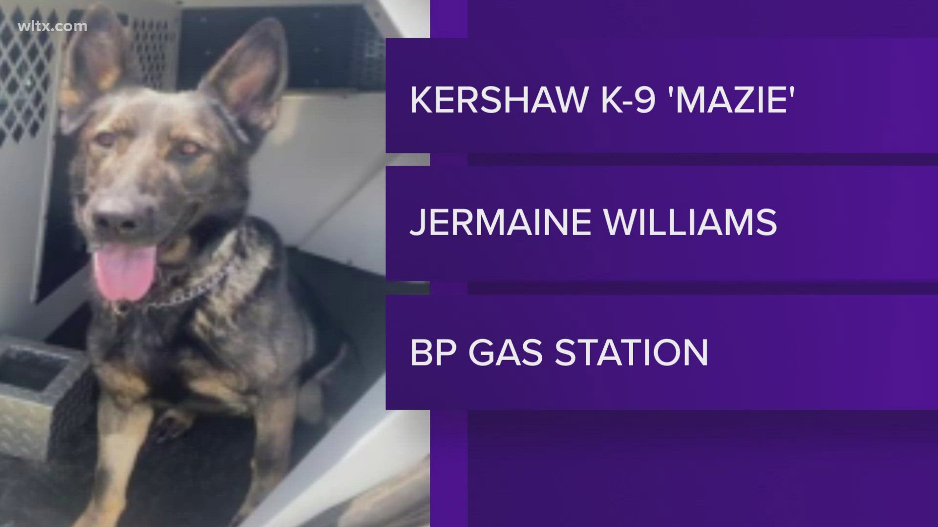 Officers say Jermaine Williams tried to break into the ATM and then ran away.  Kershaw's K9 Mazie tracked him down.