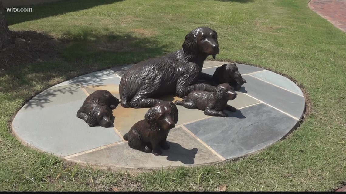 Boykin Spaniel statues take over the city of Camden for a scavenger