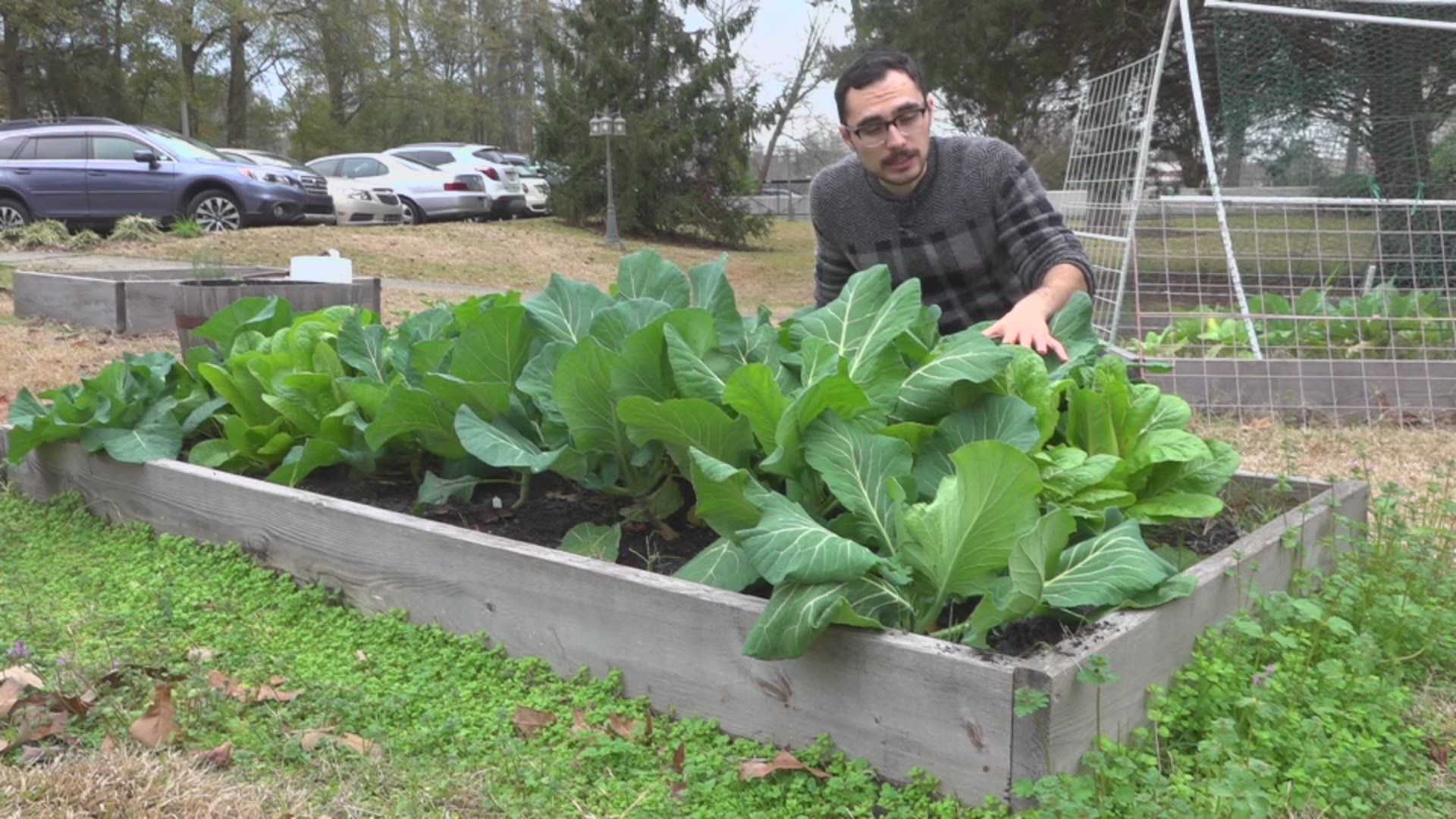 Meteorologist Alex Calamia gives us a tour of what he’s growing in our garden in the middle of winter.