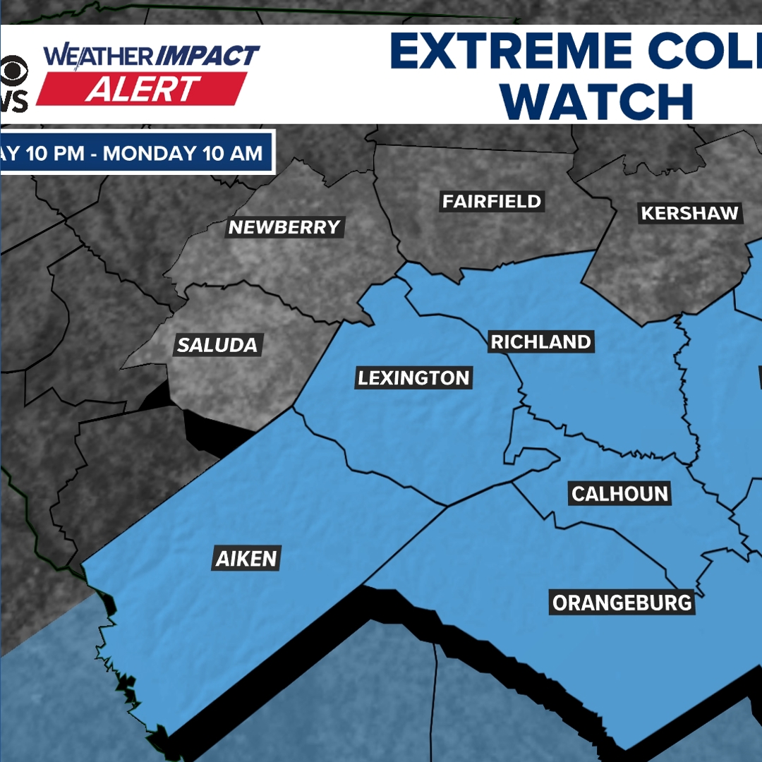 Weather Impact Alert: Extreme cold watch issued for Midlands | wltx.com
