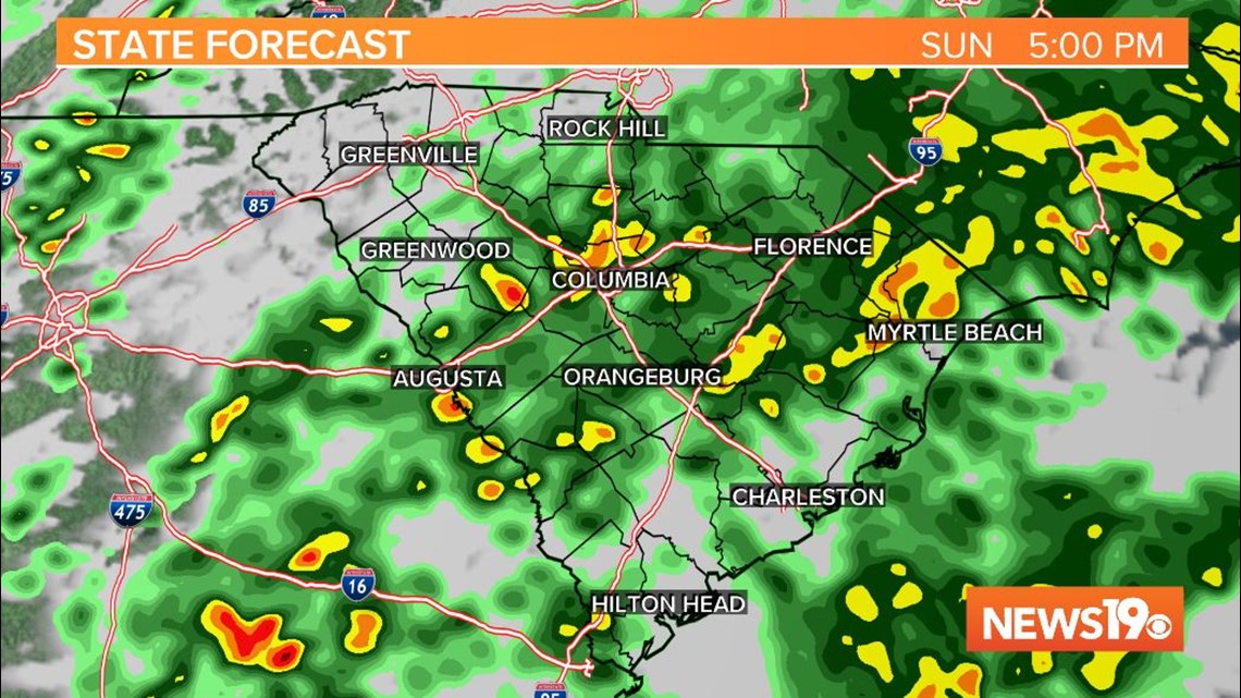 Heavy rain across the Midlands today | wltx.com