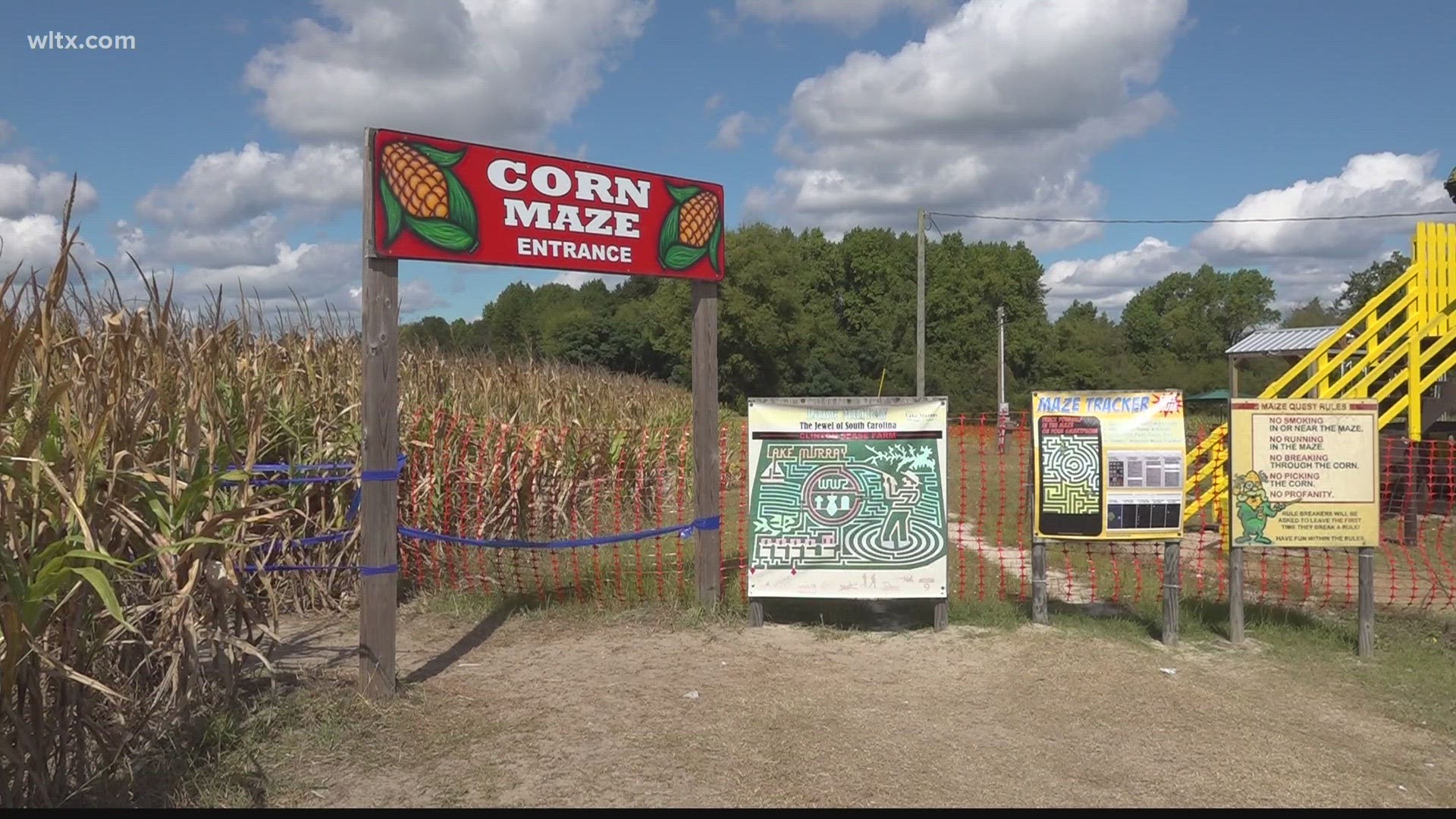 With Halloween quickly approaching, it’s the season for pumpkin patches and corn mazes. For some farmers, this fall fun is what keeps their farms operating.