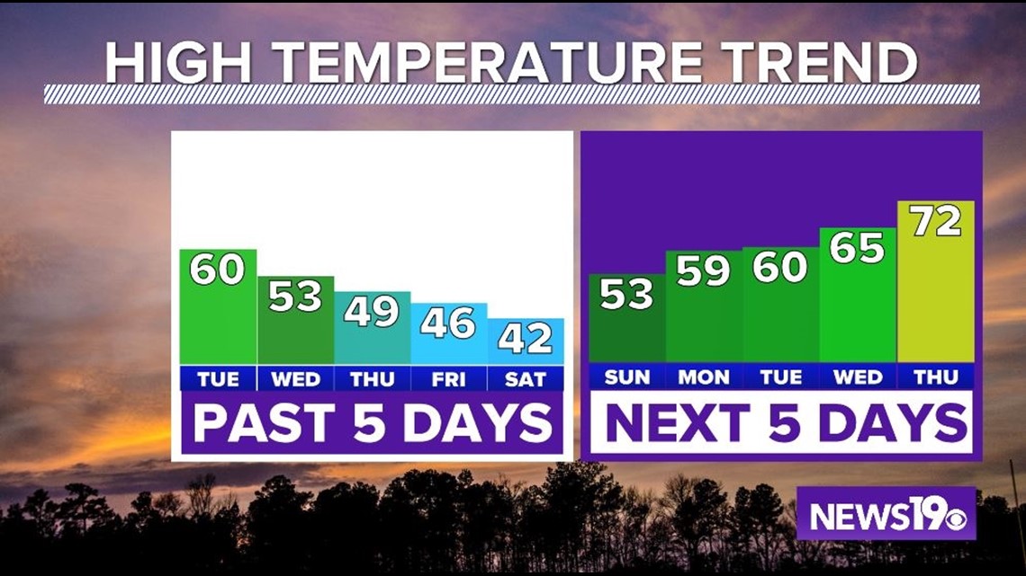 Cold start to Sunday before warm weather returns to the Midlands | wltx.com