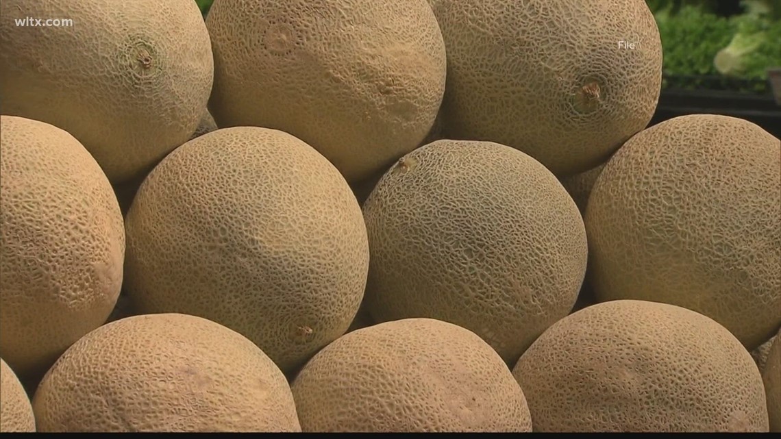 Cantaloupe Salmonella Outbreak Expands To 34 States More Brands Under Recall