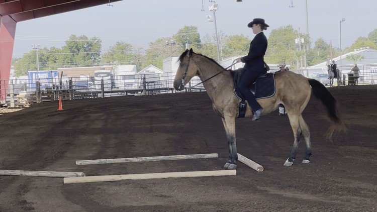 Paso Fino Exhibition takes place at the State Fair