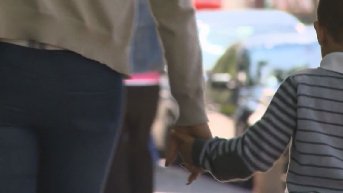 Lawmakers push to reshape child custody case law in South Carolina