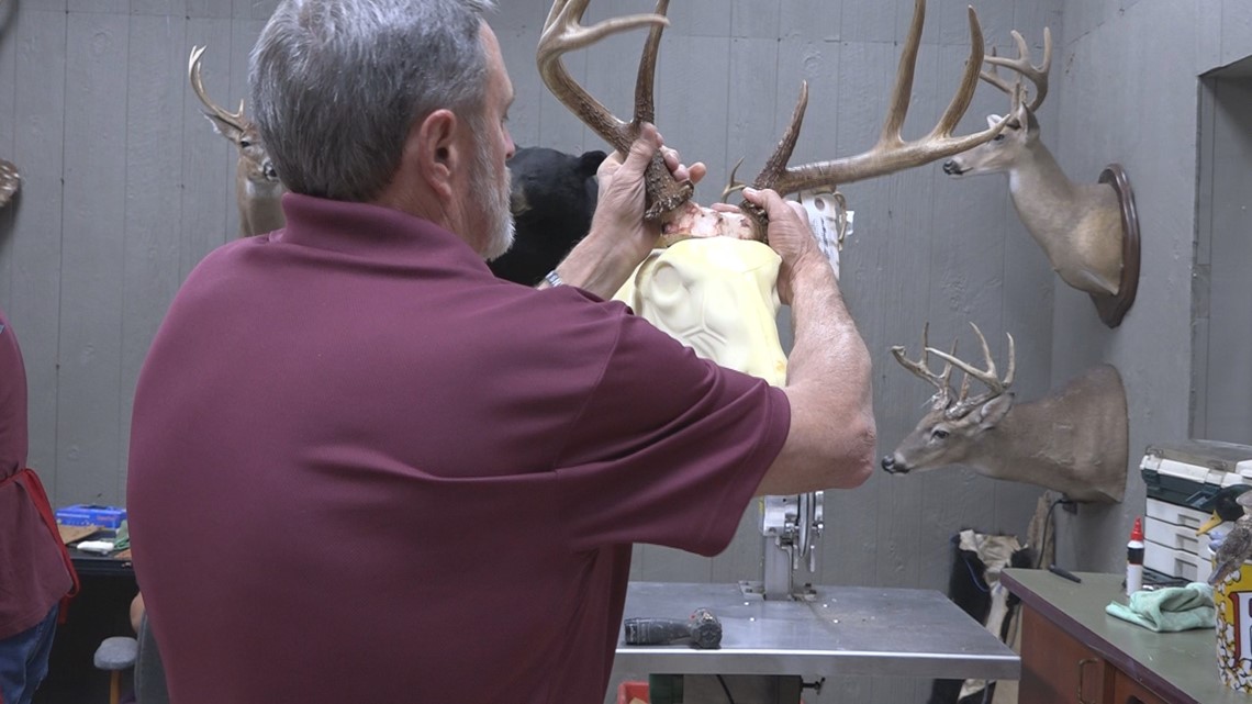 Local taxidermist in Bowman makes the dead look alive