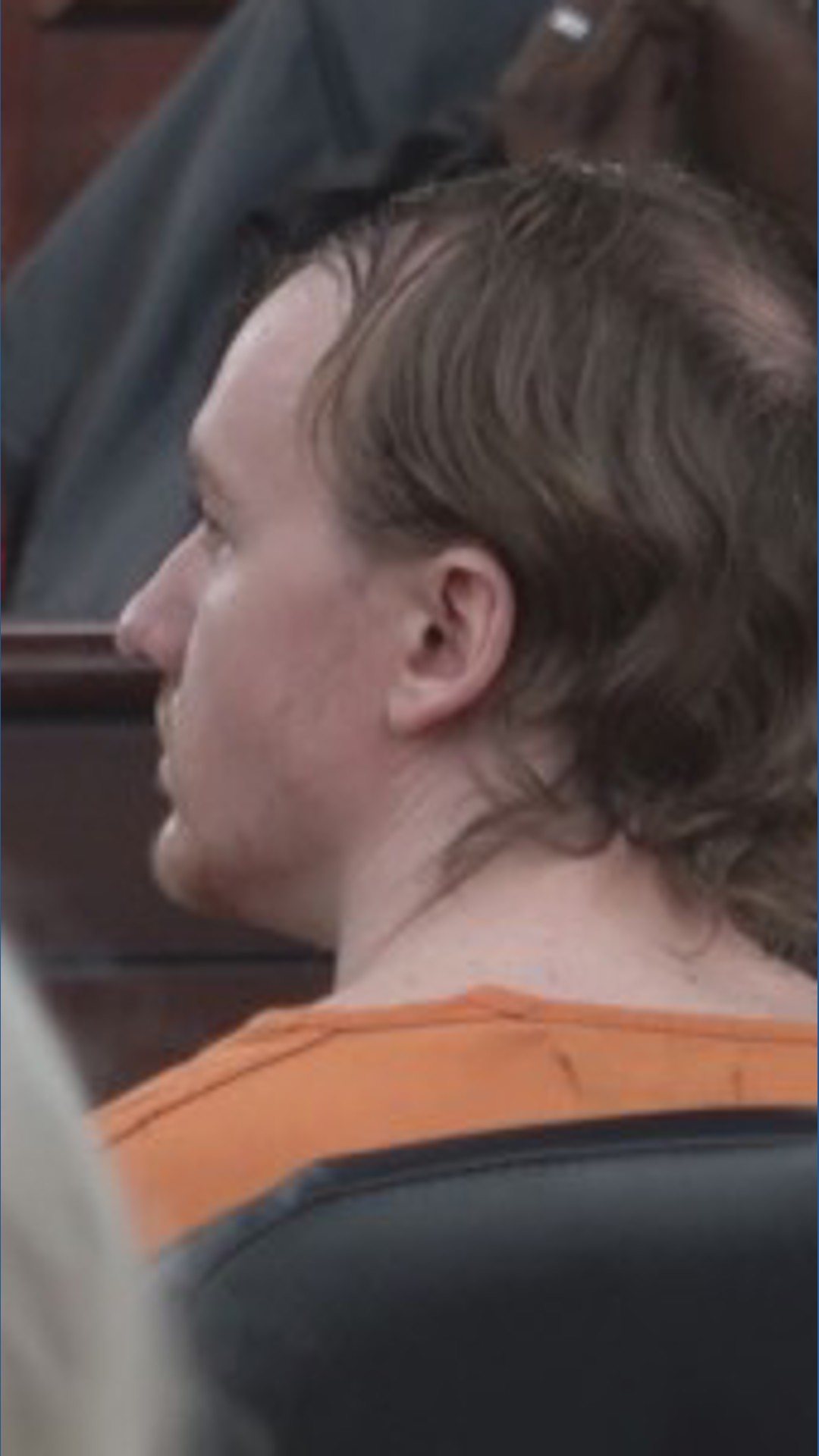 Chapin stabbing suspect found not guilty by reason of insanity in 11 ...