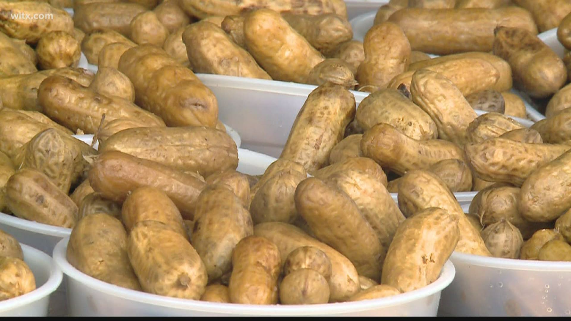 The South Carolina Department of Agriculture is looking to hire 125 peanut inspectors.