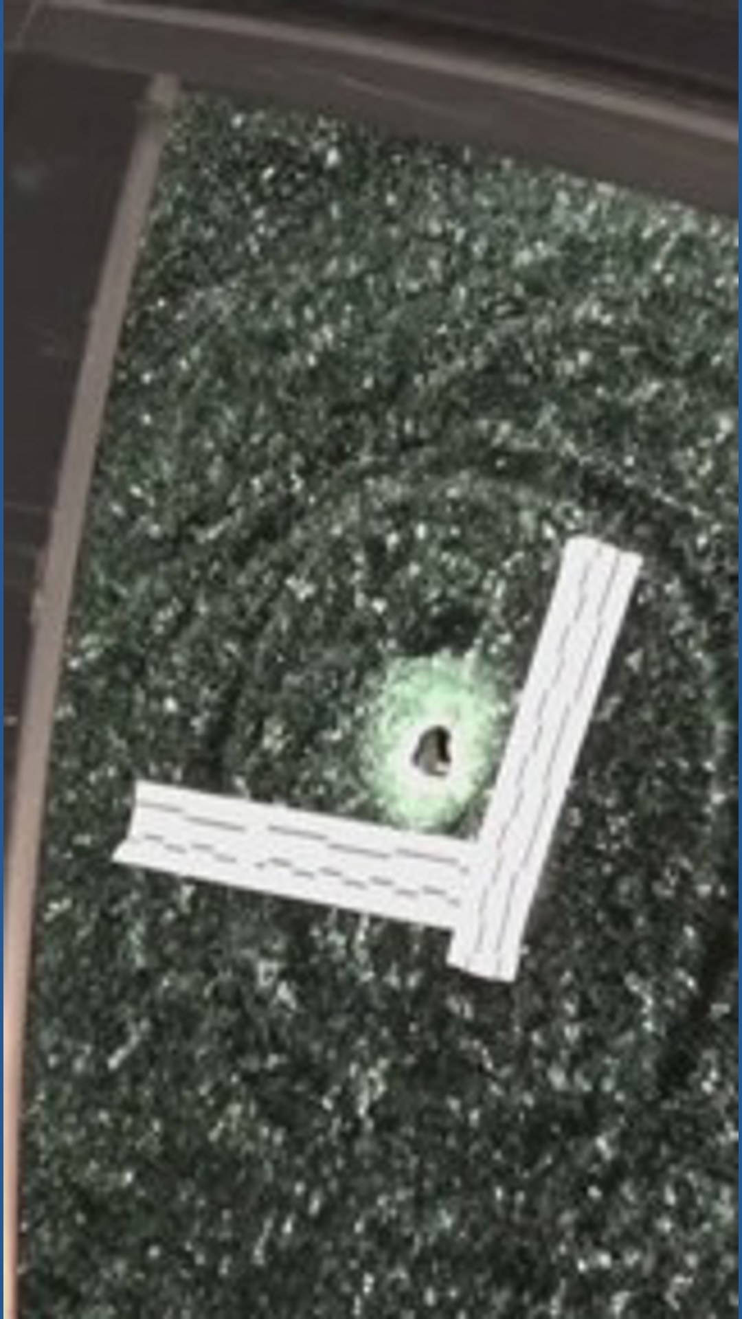 Suspect accused of shooting Springfield police chief denied bond amid ...