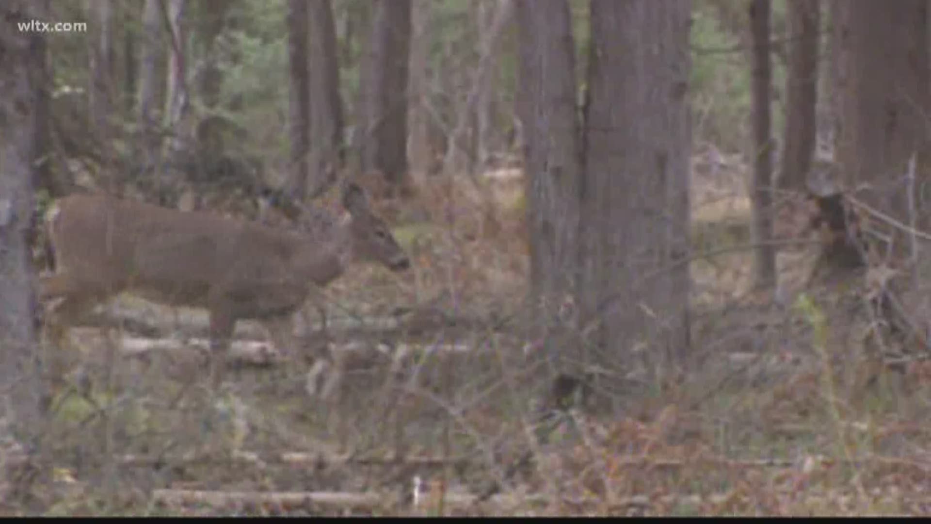 South Carolina Hunters and Landowners for the Hungry are hoping to expand.