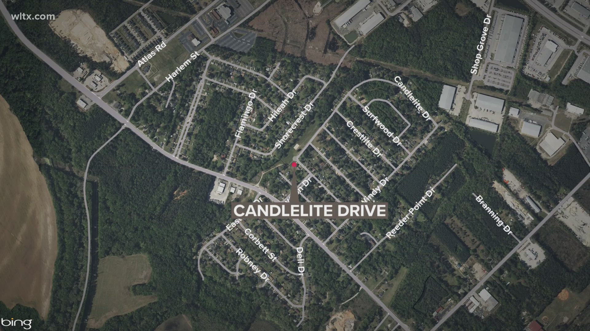 Deputies say a man opened fire during a family argument, killing a woman before returning to the scene and being arrested.
