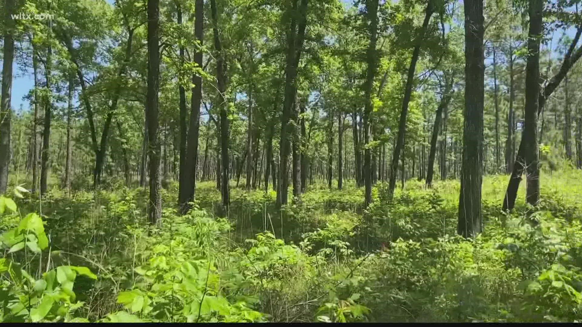 Fort Jackson is well known as an army training post, but it's also a place where research on plants, animals, and insects takes place.