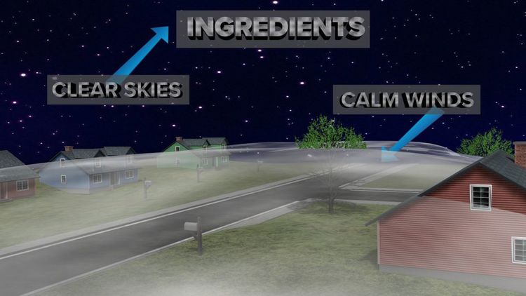 Understanding weather visibility and why it matters | wltx.com