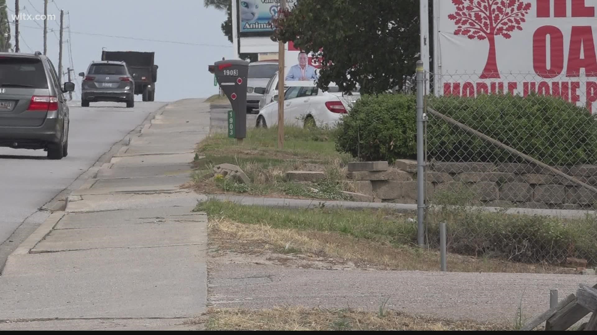 West Columbia's Beautification Foundation is working to improve the landscape along Highway One.