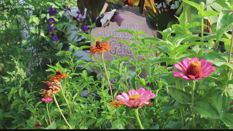 July in Gandy's Garden with Alex Calamia