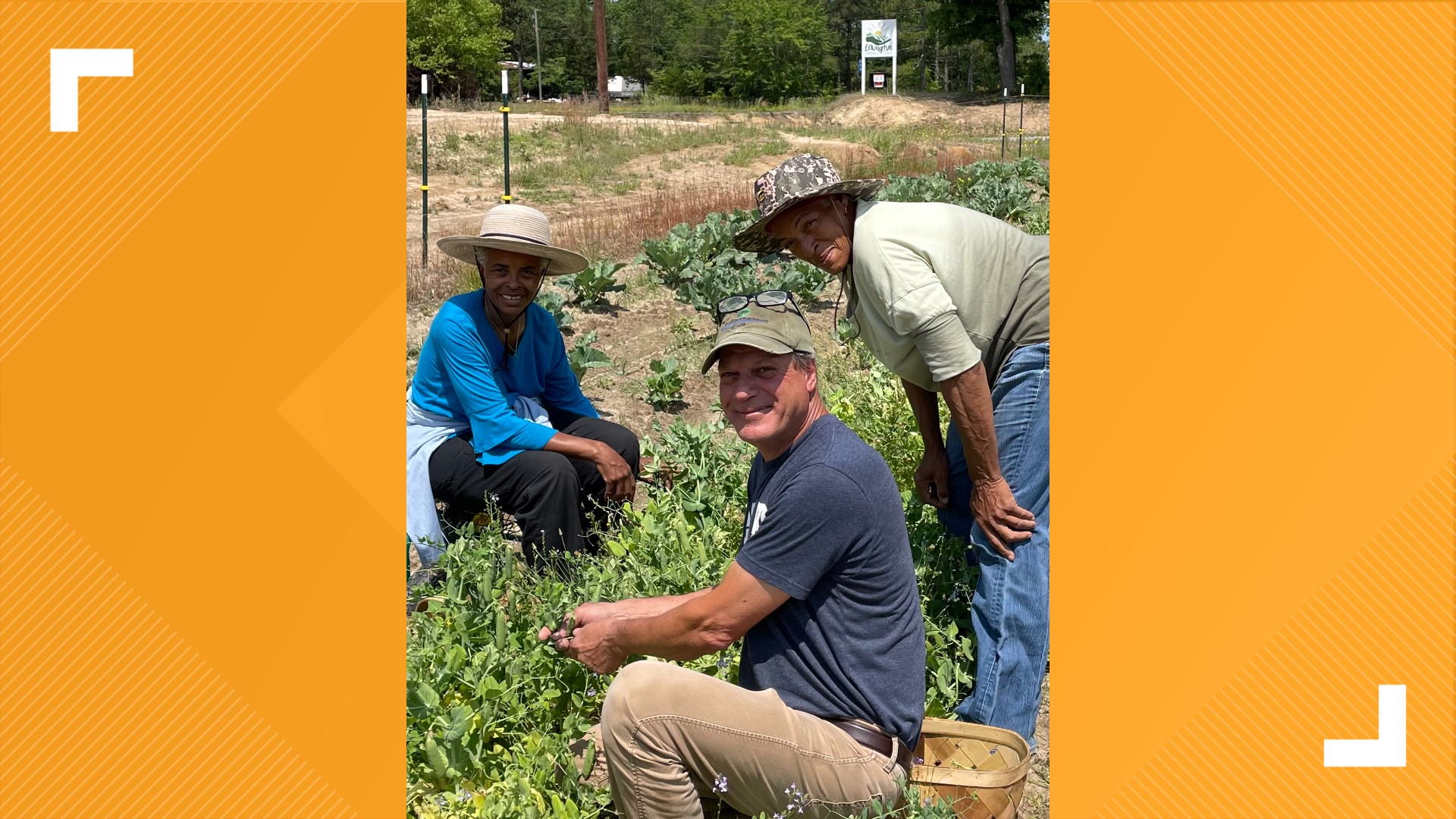 Lexington Community Garden feeds thousands in need
