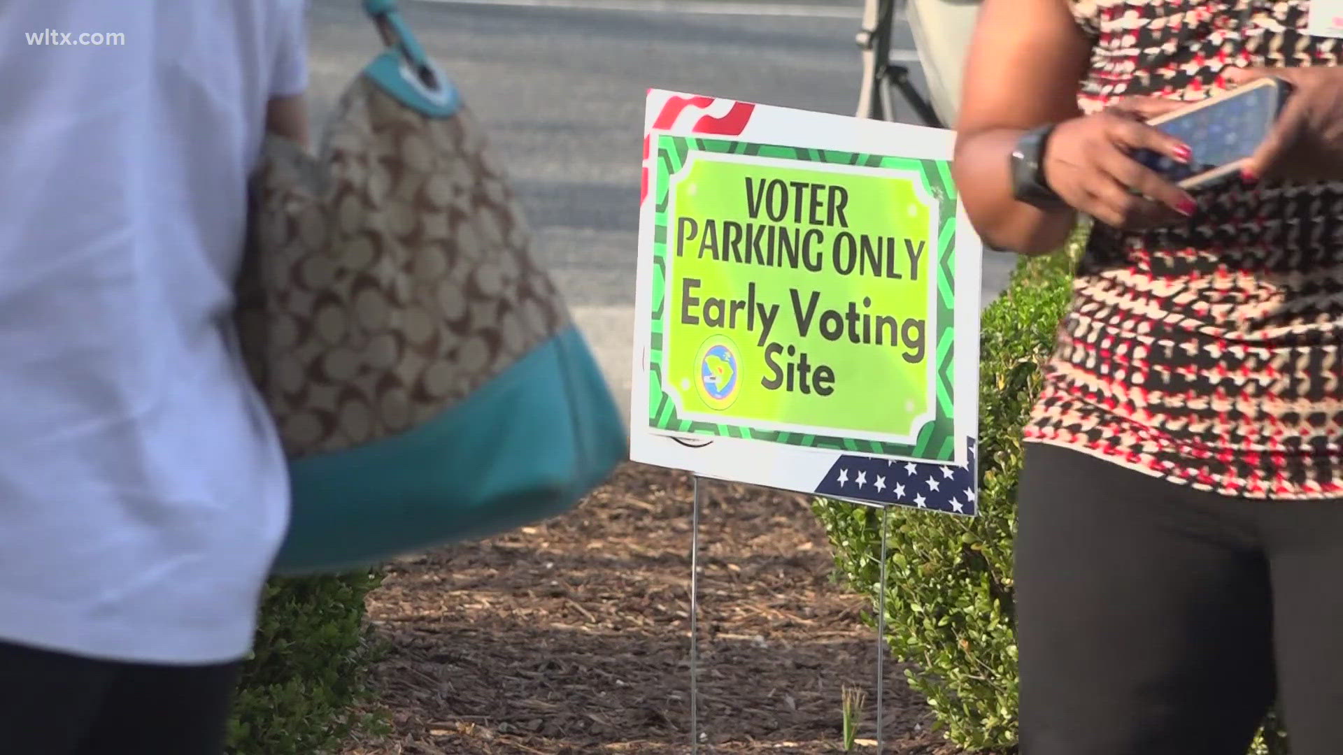 Over 45% of South Carolina's registered voters cast ballots early, marking a historic turnout in the state's first presidential election with early voting.