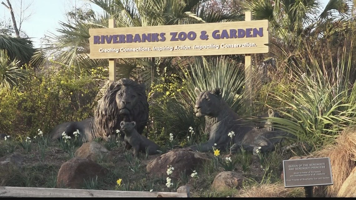 Riverbanks Zoo $80 million bond gets another pass of approval | wltx.com