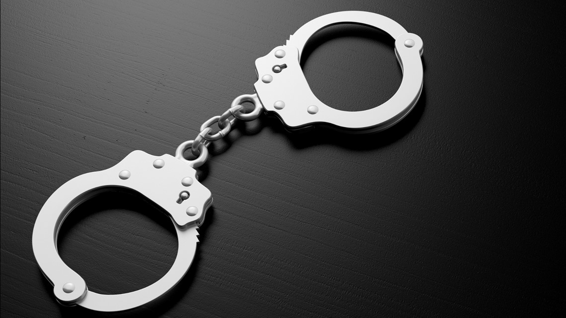 Lexington Police arrest Upstate man during internet sex crime investigation