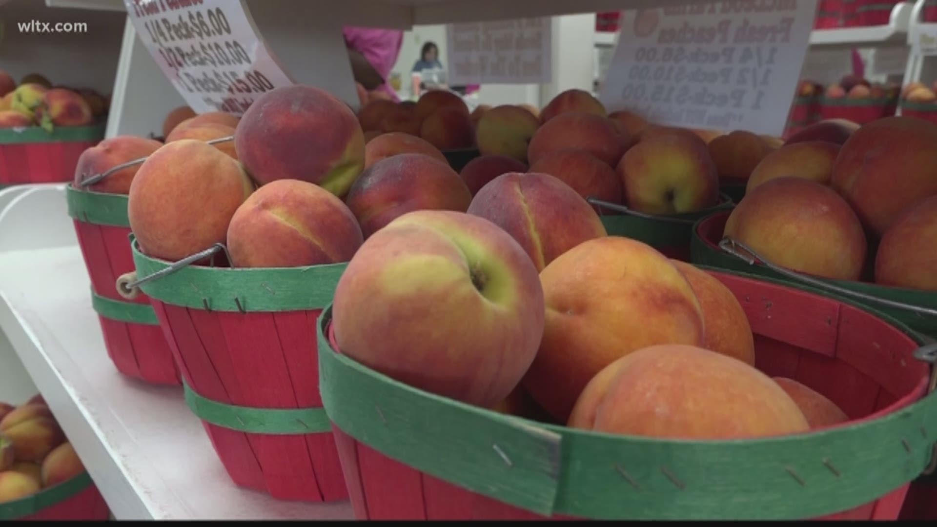It's peach season and one popular spot people like to go is McLeod farms in Mcbee