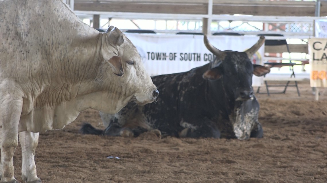 Want to head to the rodeo in South Congaree? Here's what to know - Vimarsana News