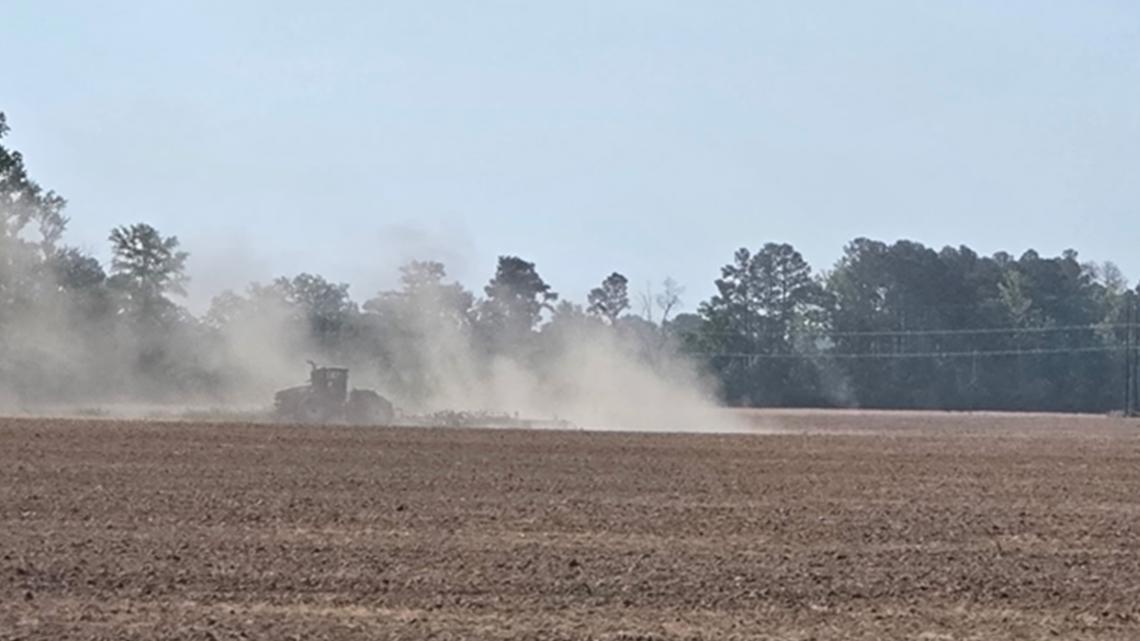 Drought committee keeps all 46 SC counties at severe status amid record ...