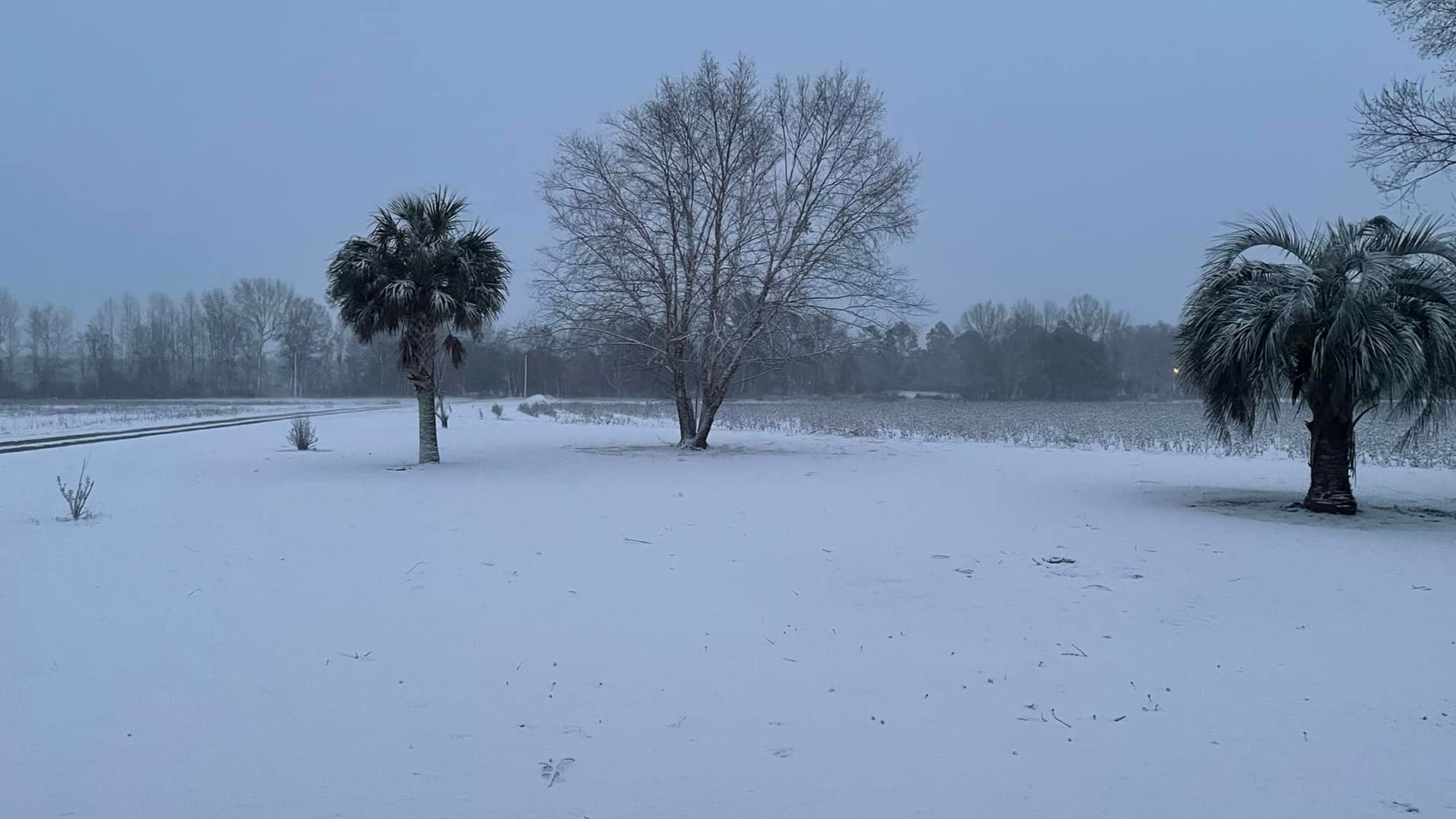 South Carolina snow pictures sent to WLTX News19