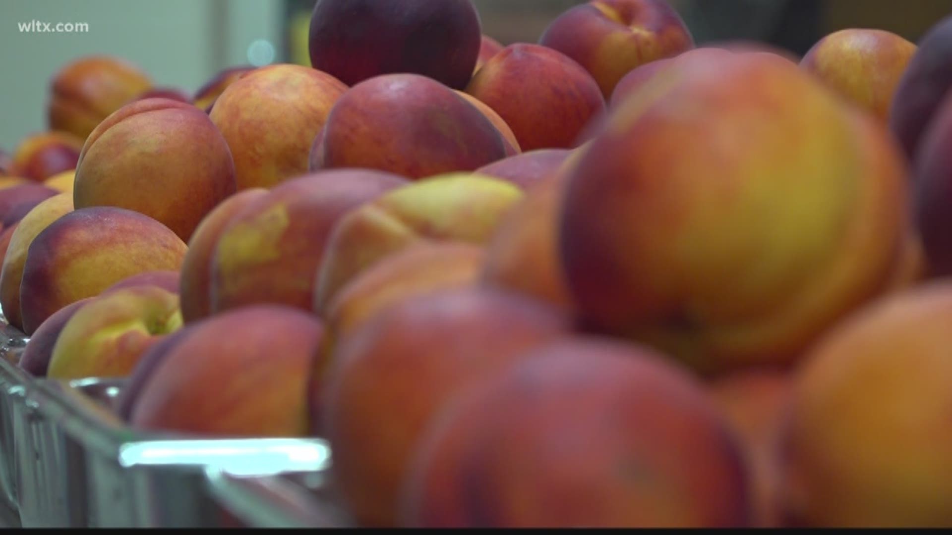 The town is hosting it's 60th anniversary peach festival, with one of the best peach crops in years.