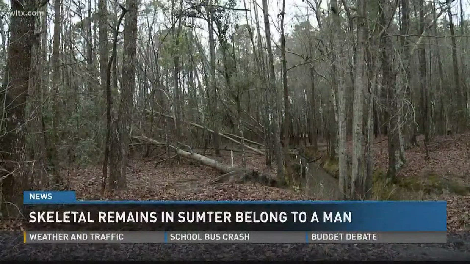 A preliminary autopsy shows the skeletal remains found by kids in a wooded area this weekend belong to a middle-aged white male.