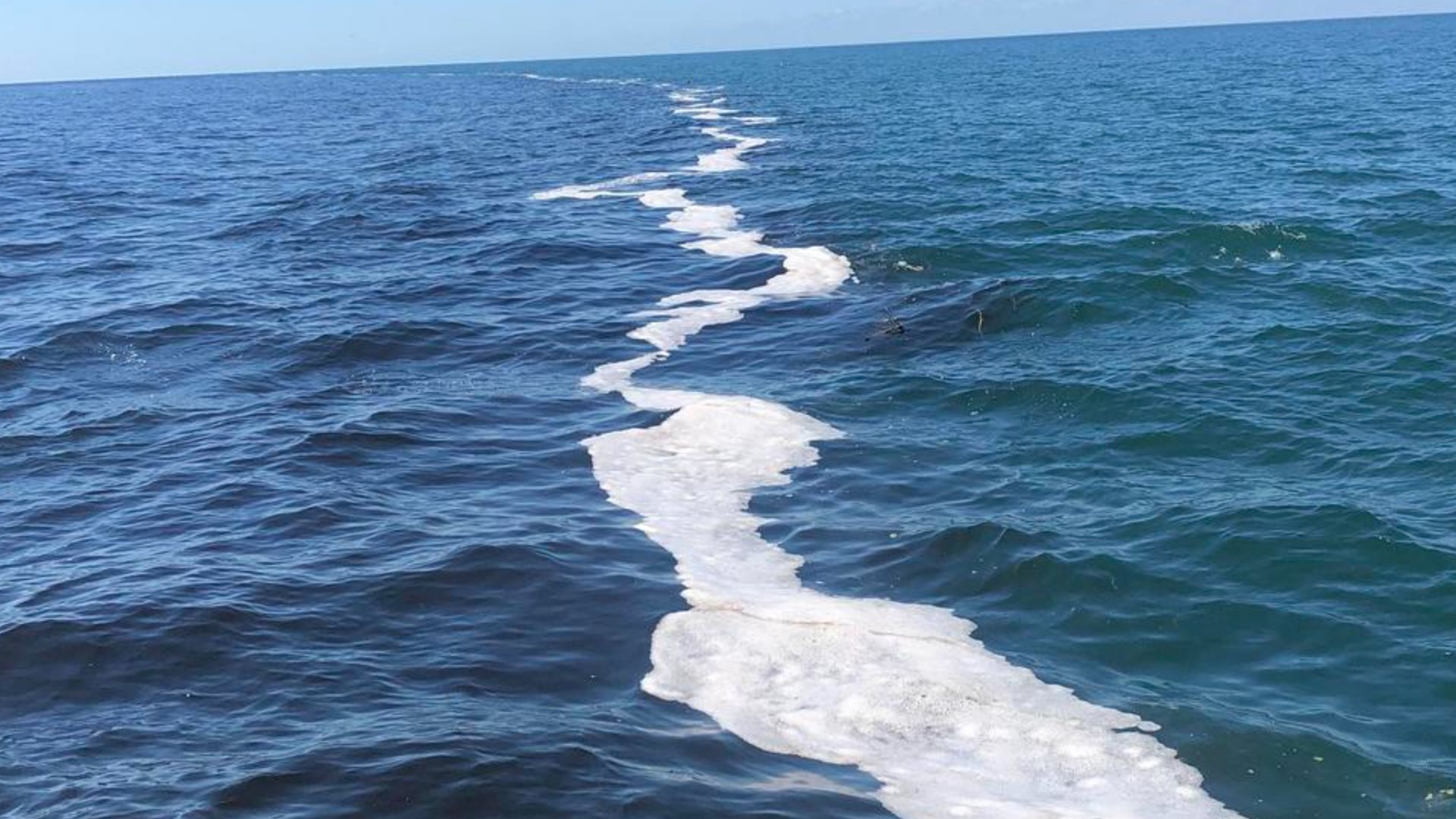 Florida water 'looks like root beer, smells like dead fish'